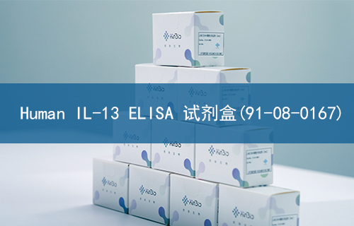 Human IL-13 ELISA 试剂盒(91-08-0167)